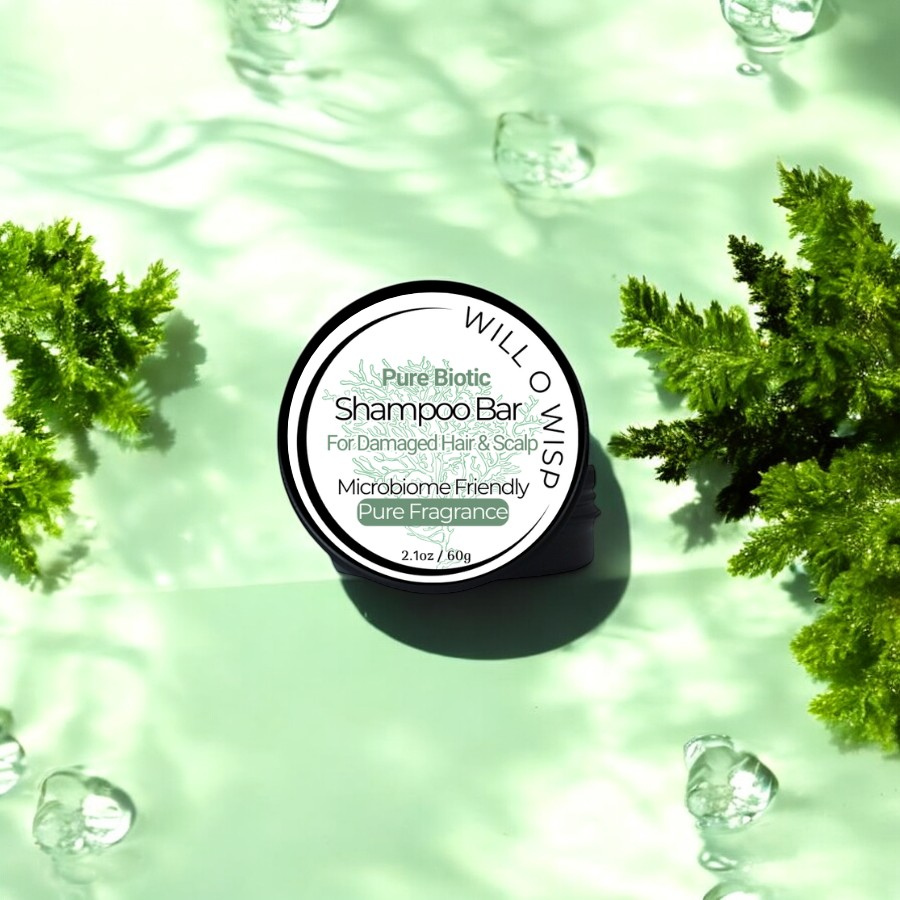 Solid Shampoo