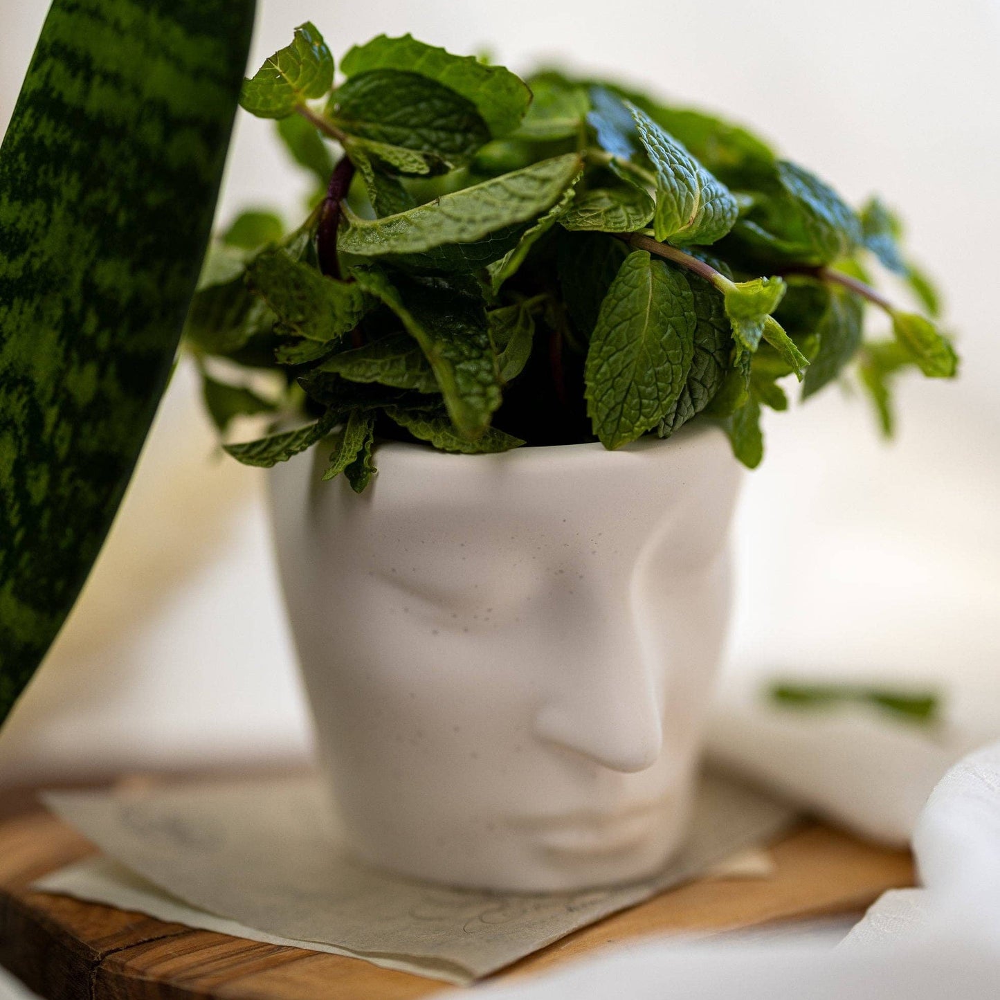 Handmade Face Planter