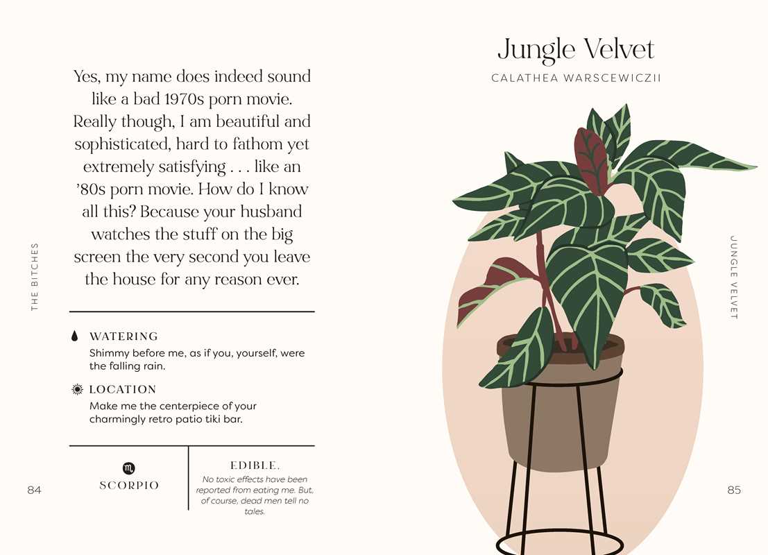 Houseplants and Their F*cked-Up Thoughts
