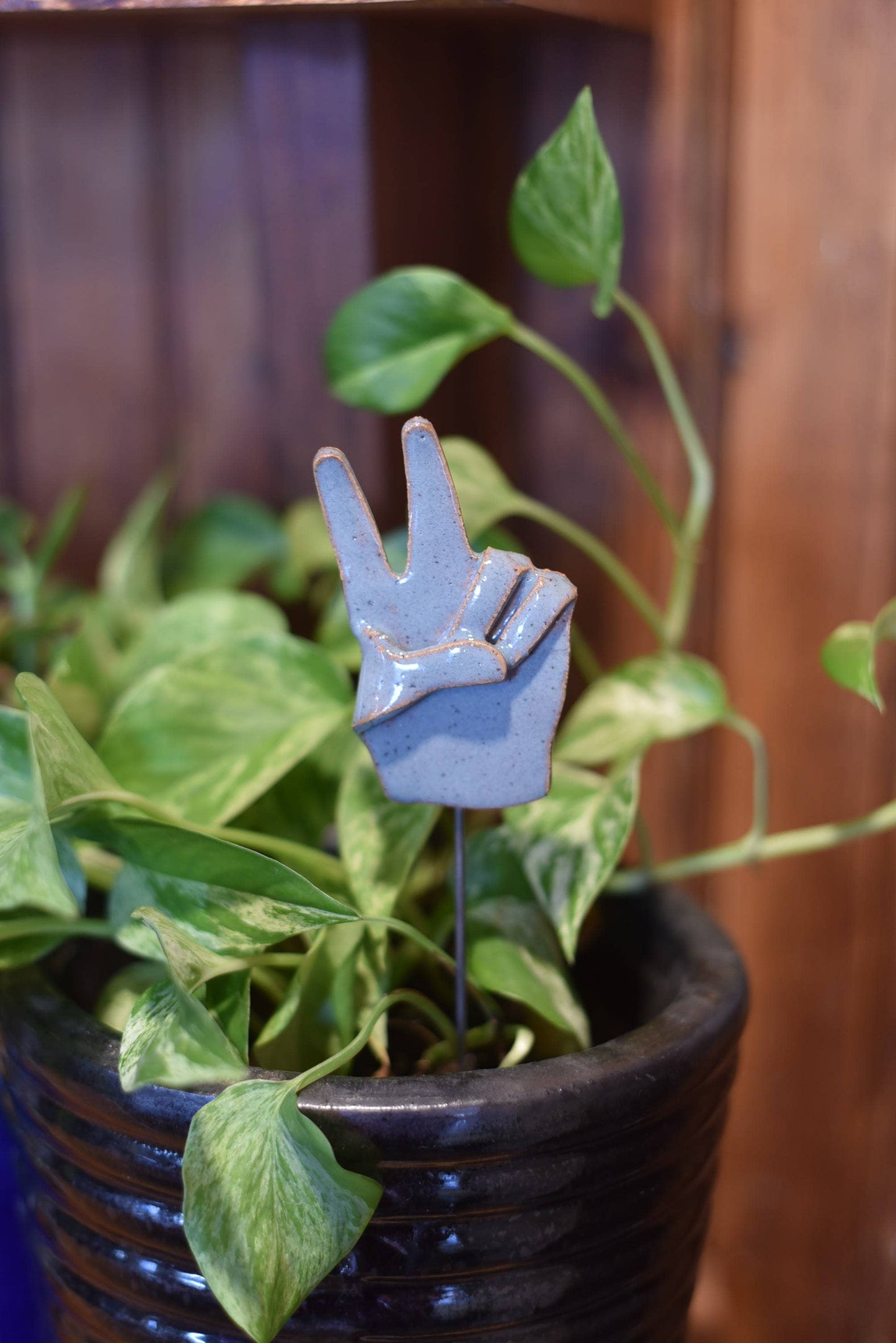 Plant Buddy – “Peace”