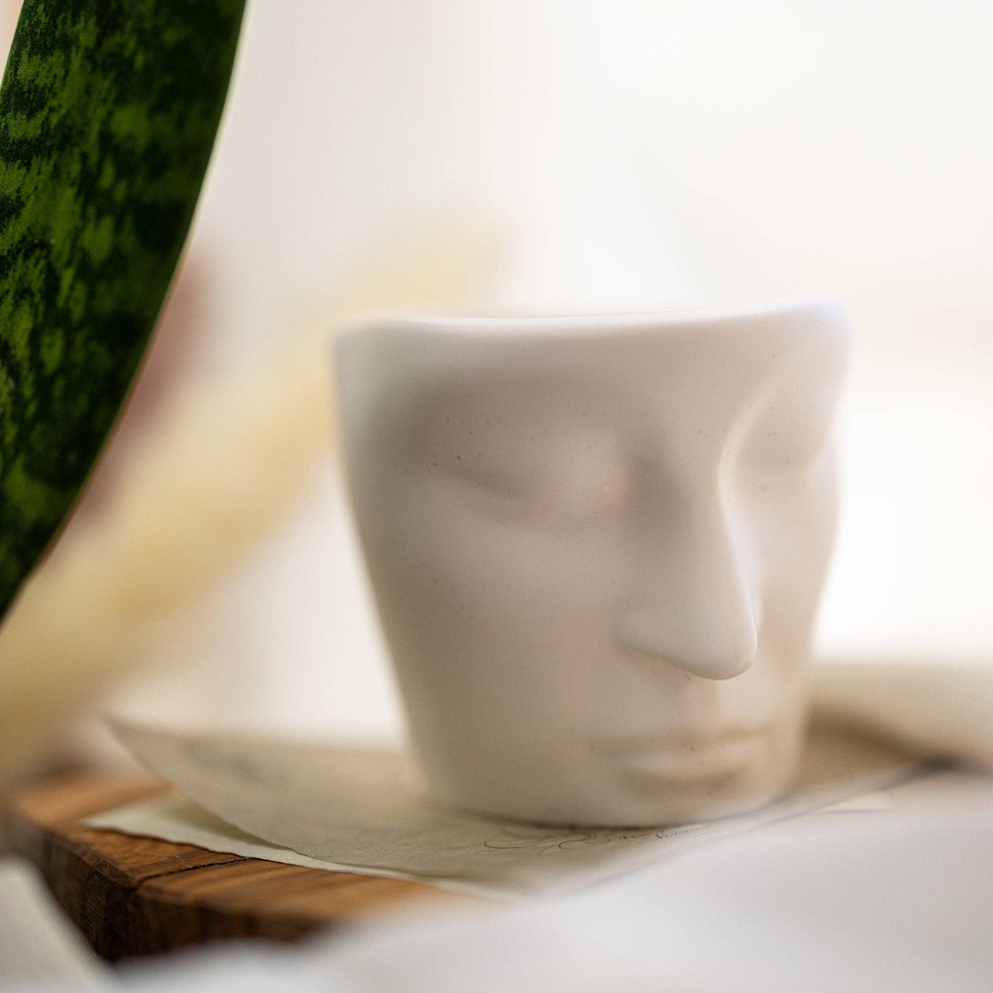 Handmade Face Planter