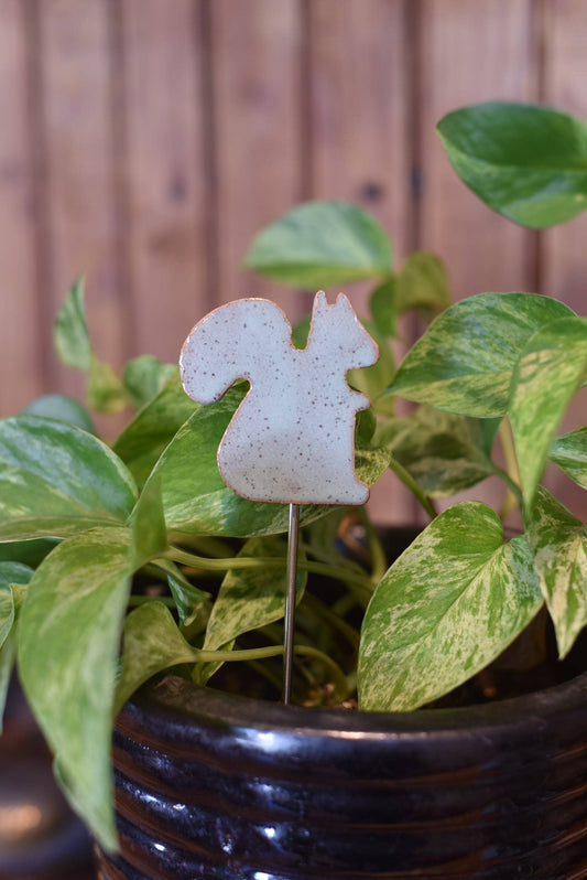 Plant Buddy - Squirrel