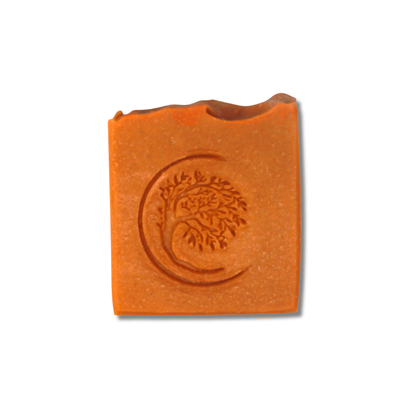 Pumpkin & Patchouli ~ Pure Coconut Milk Soap