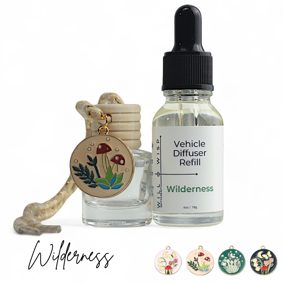 Vehicle Fragrance Diffuser Kits ~13 Varieties