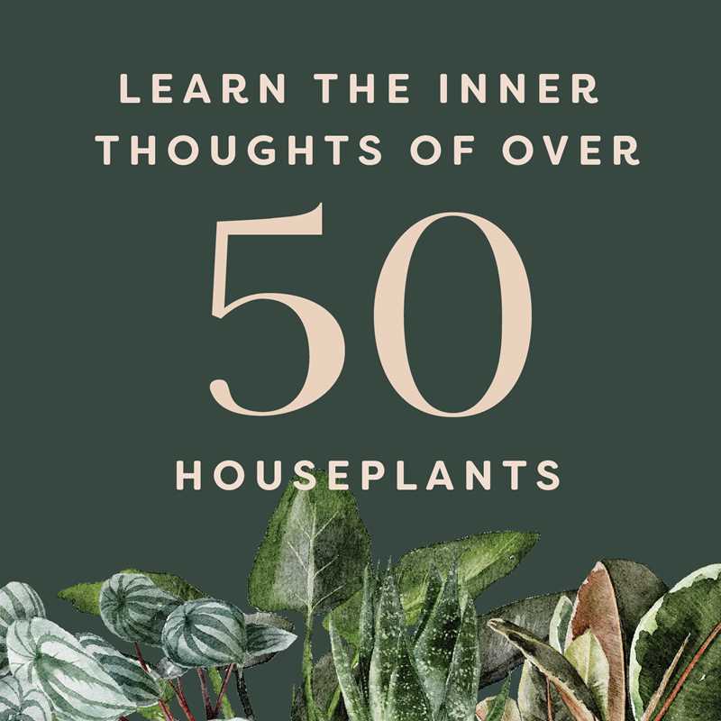 Houseplants and Their F*cked-Up Thoughts