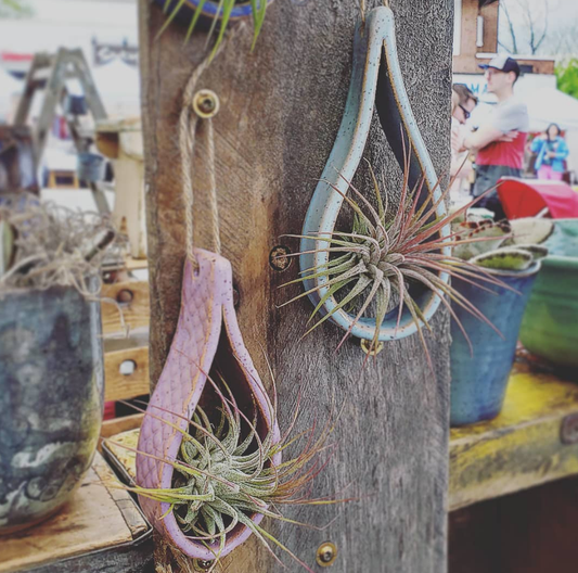 Ceramic Hanging Air Plant Holder