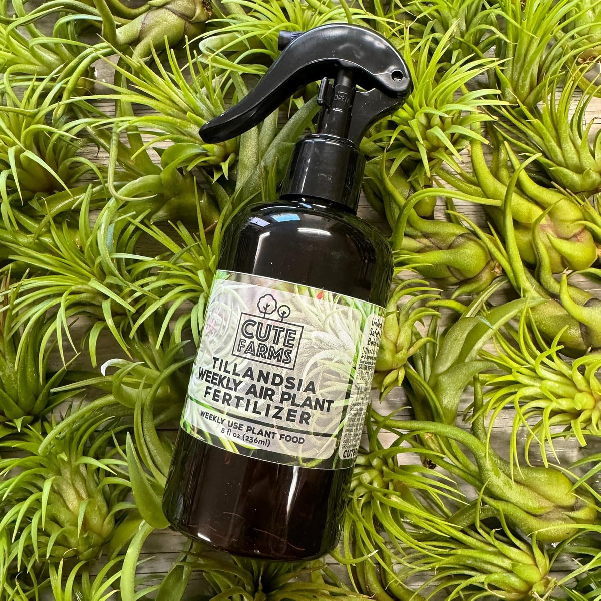 Cute Farms Tillandsia Air Plant Fertilizer – 8 oz