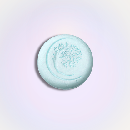 Equinox Botanical Conditioner Bar
