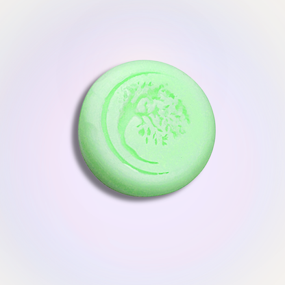 Oasis Botanical Conditioner Bar