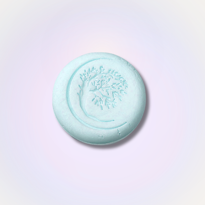 Equinox Botanical Shampoo Bar