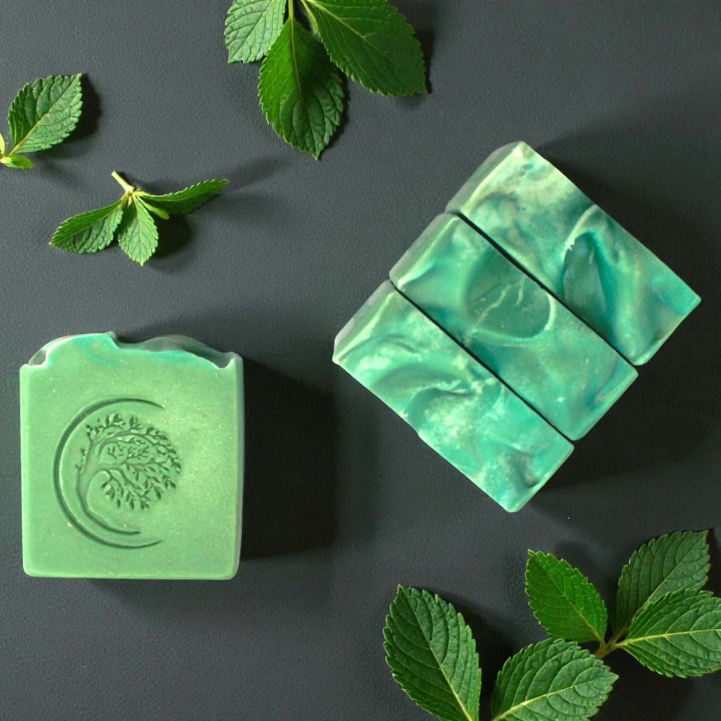 Eucalyptus Mint ~ Aloe Juice Soap