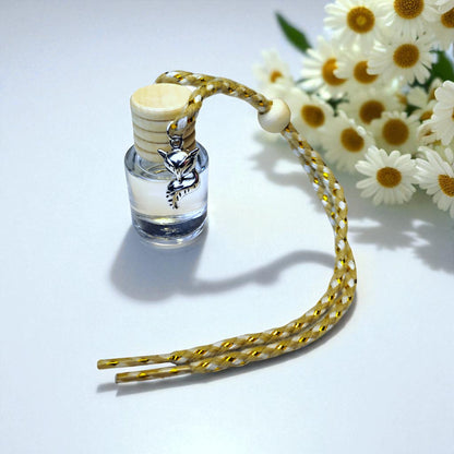 Vehicle Fragrance Diffusers