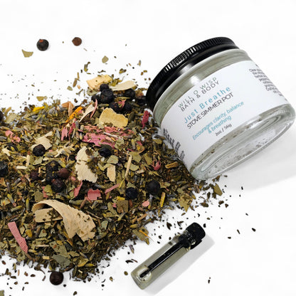 Aromatherapy Stove Simmer Pots