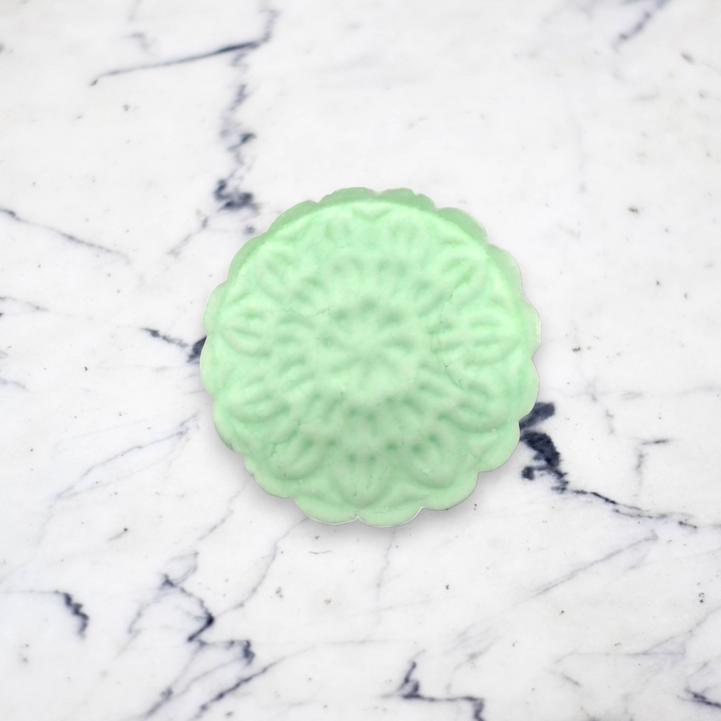 Solid Shampoo Bar (Mint - Combination Skin)