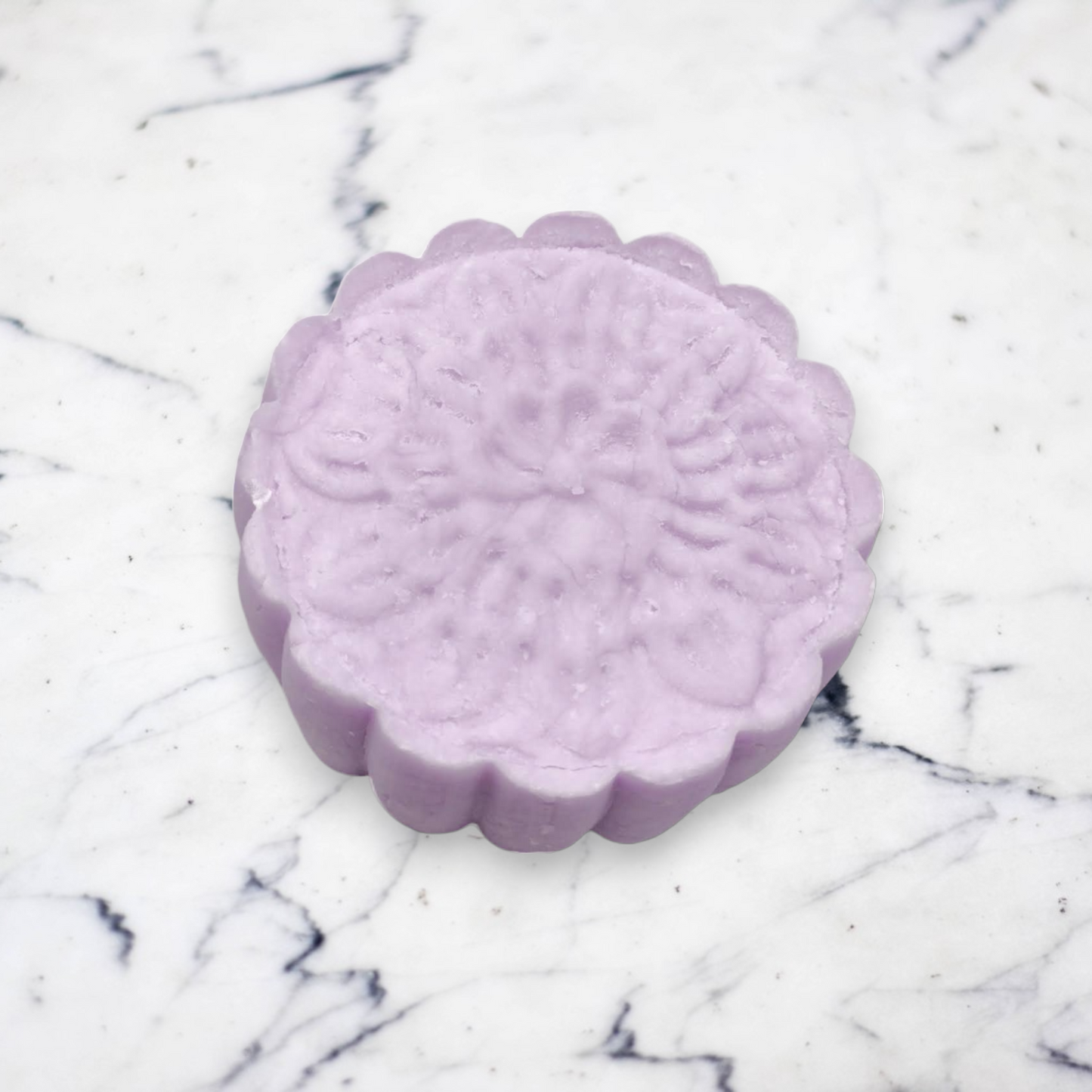 Solid Shampoo Bar (Purple - All Skin Types)