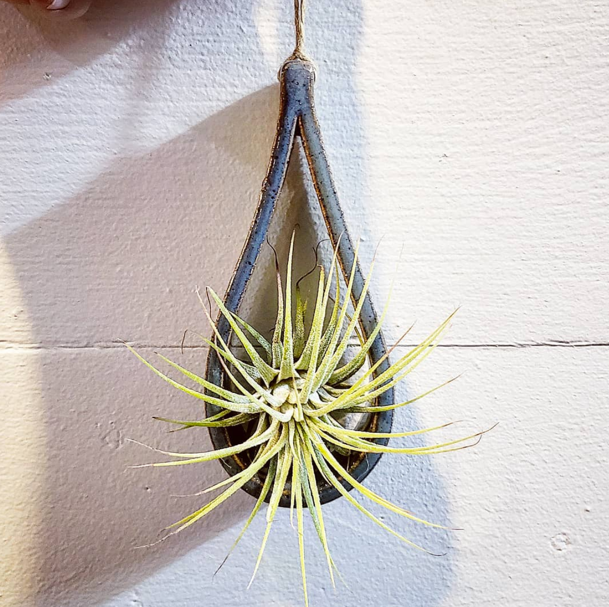 Ceramic Hanging Air Plant Holder