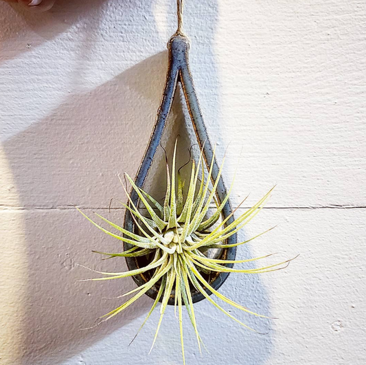 Ceramic Hanging Air Plant Holder