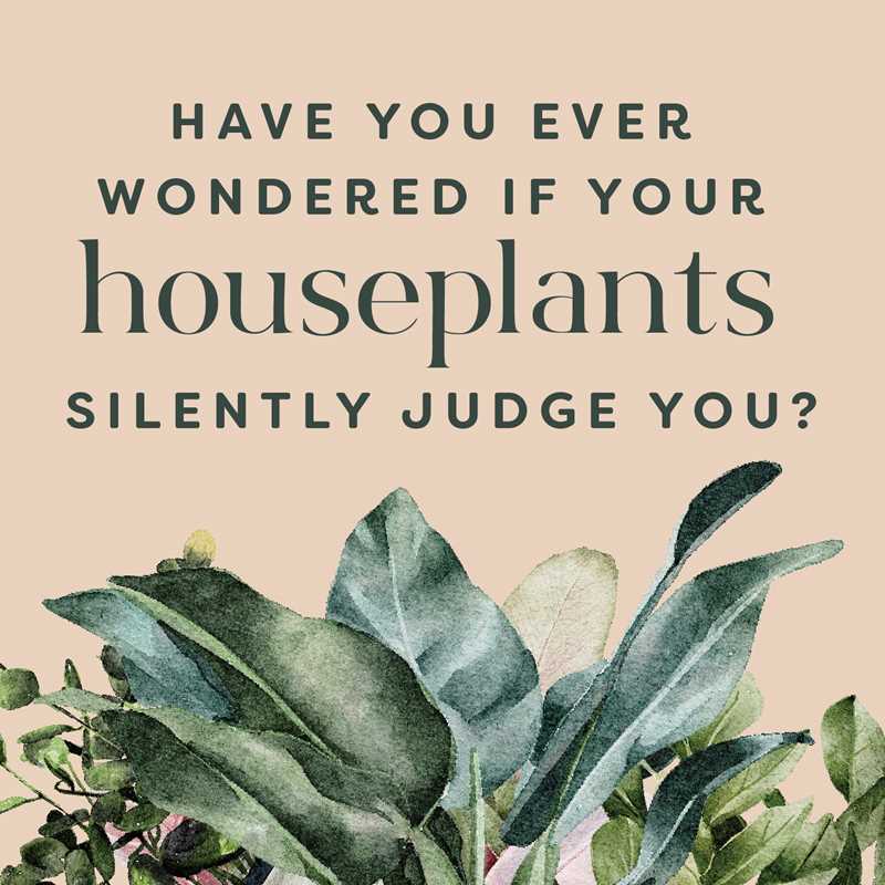 Houseplants and Their F*cked-Up Thoughts
