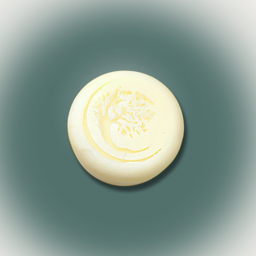 Beard Co-Wash + Shave Bar