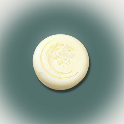Beard Co-Wash + Shave Bar