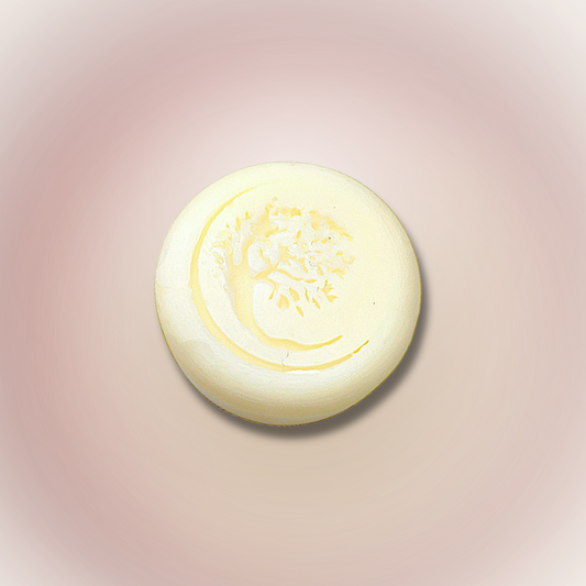 Beard Co-Wash + Shave Bar